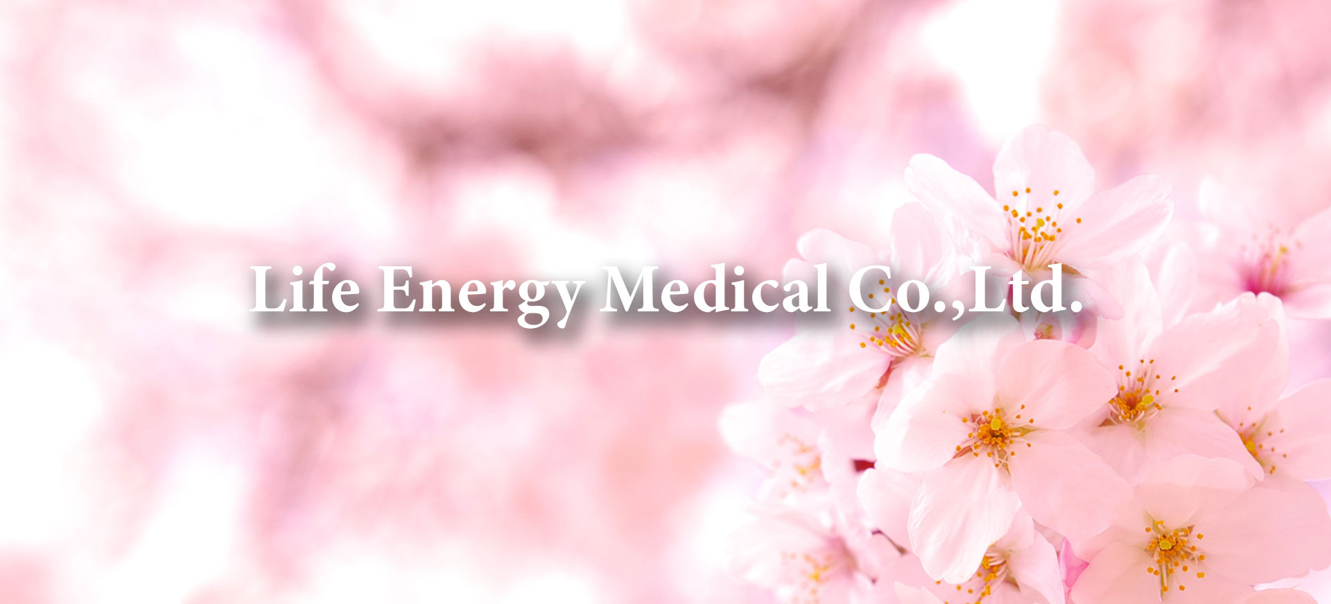 Life Energy Medical Co.,Ltd.
